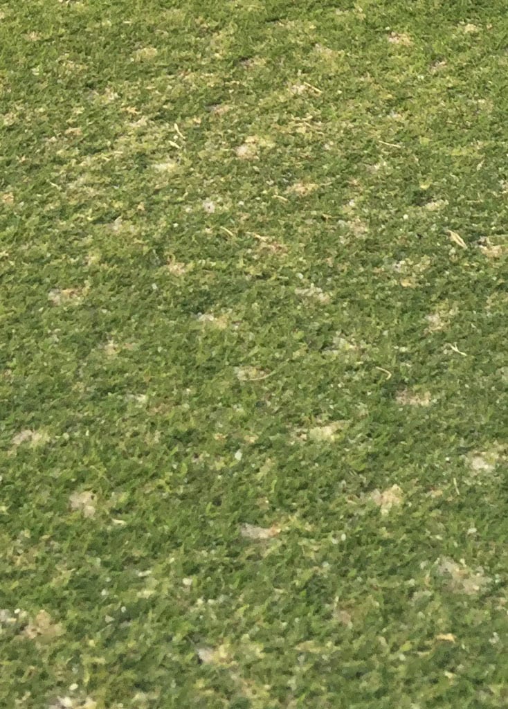 Chattanooga Lawn Aeration and Seeding Services