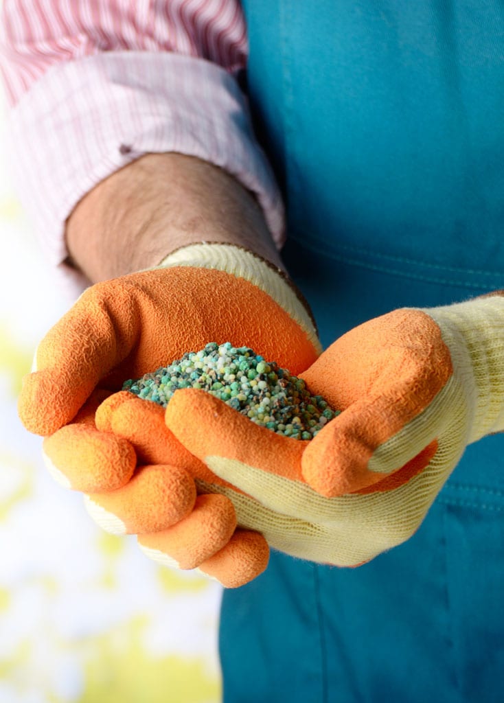 Chattanooga Fertilization Services