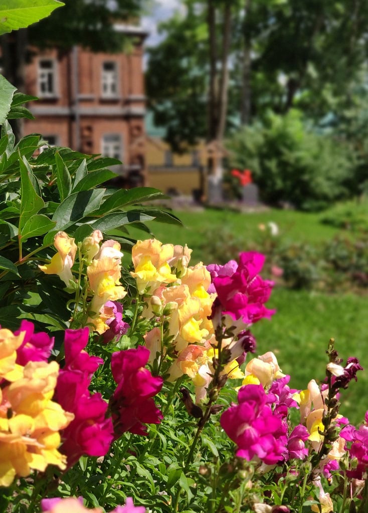 Chattanooga's Best Ornamental Bed Treatment And Control Services Provider